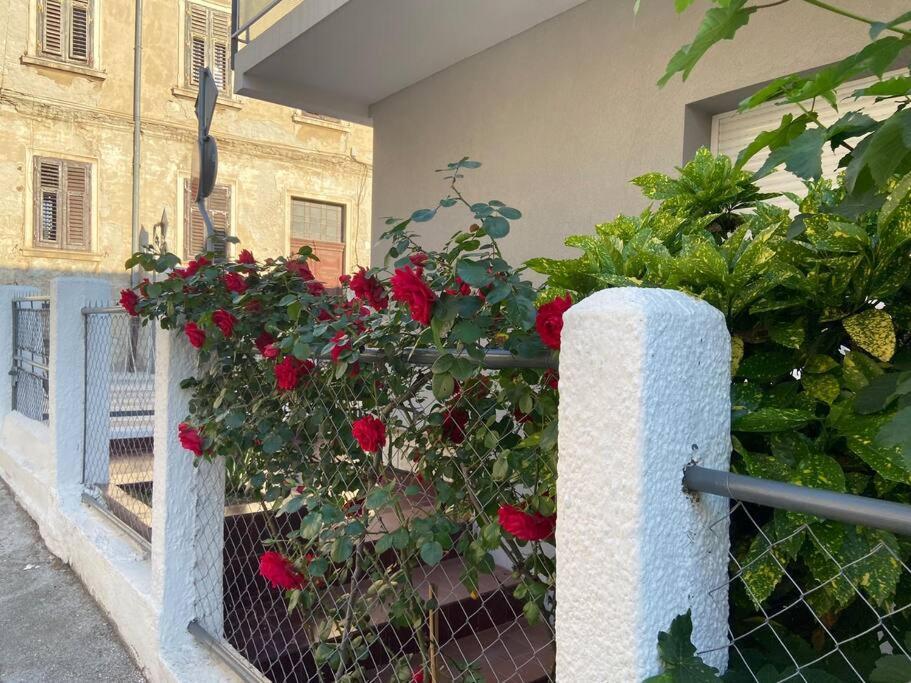 Green Oasis New Apartment Pula Exterior foto